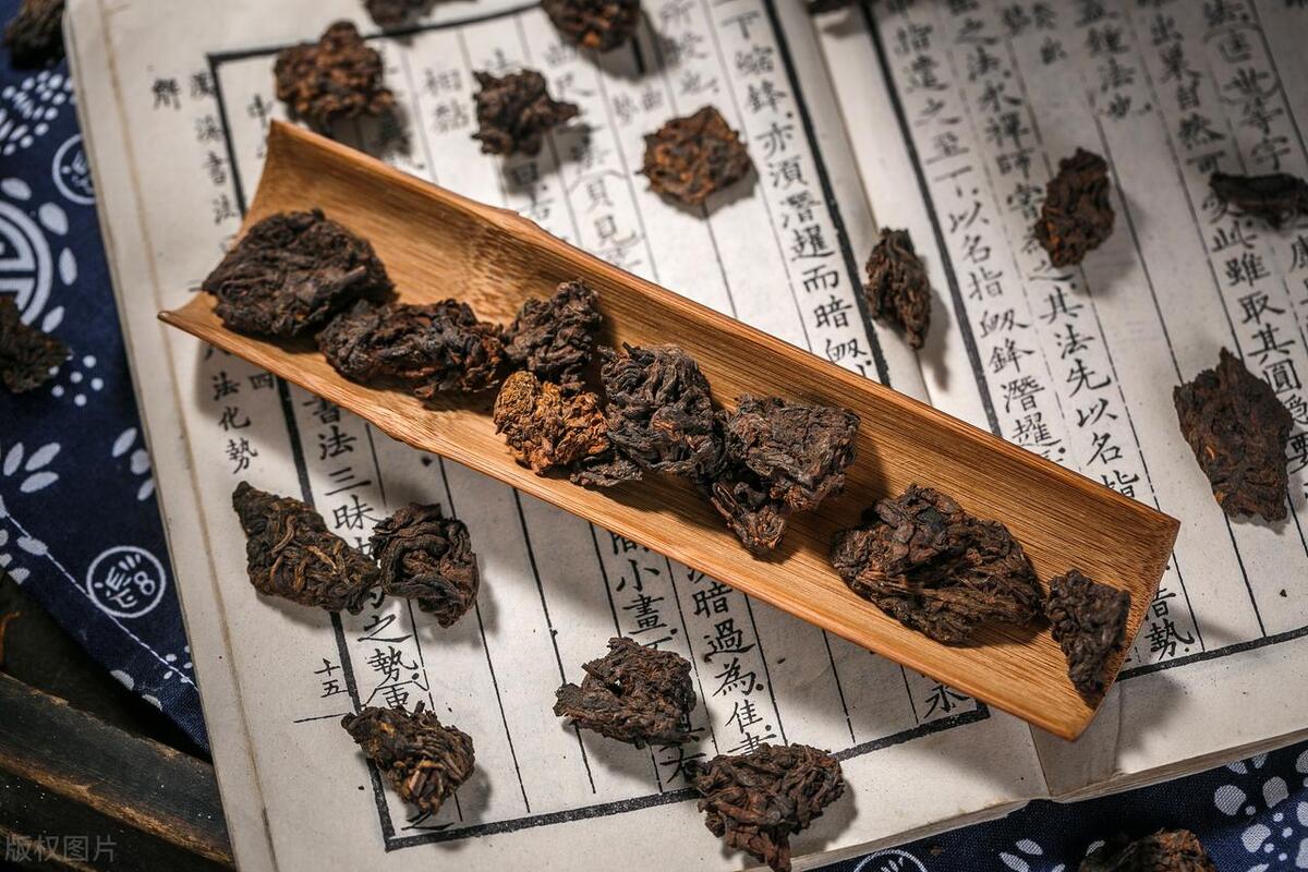 🍵 生活与茶的碎碎念
